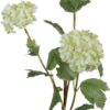 Snowball 80cm cream